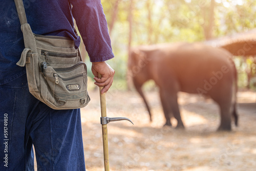 Canvas Print Elephant trainer or Mahout with Bull Hook Ankus for control order wild elephant