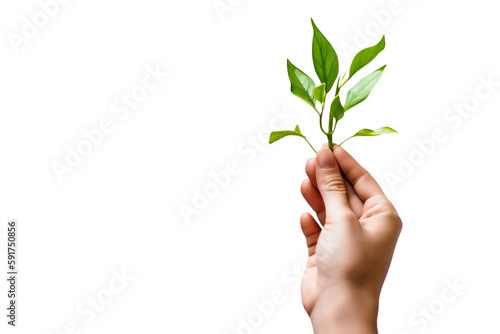 Sustainability: Close-up of Hand Holding Growing Seedling. Generative AI
