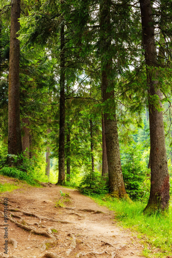 Obraz premium beautiful summer forest park with green trail. countryside landscape with fence along the path
