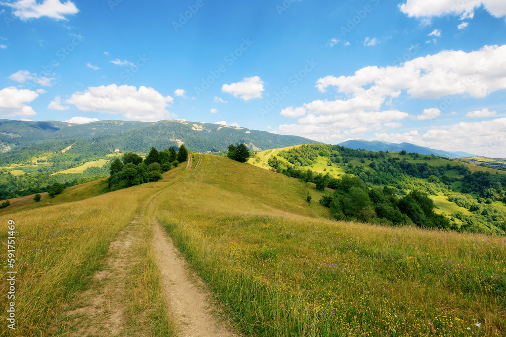 country road down the hills and meadows rolling in to the distant valley. mountainous countryside landscape of ukrainian carpathians in summer