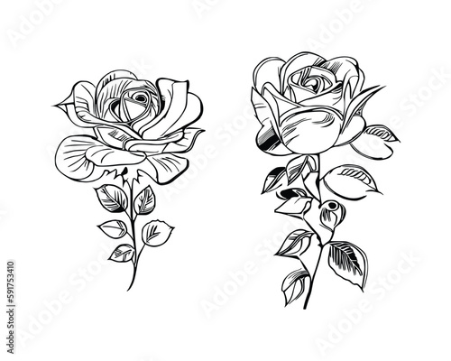 Two Roses Coloring Book showcases stunning depictions of two individual roses.
