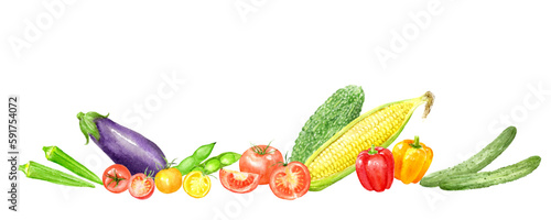 夏が旬の野菜の水彩イラスト　横長デザイン