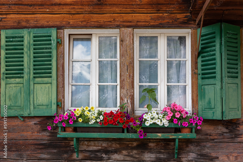 Beautiful flowerbox displays on Swiss chalets in the village of Murren, a traditional Walser mountain village in the Bernese Highlands of Switzerland, halfway up the Schilthorn Mountain. Beautiful flowerbox displays on Swiss chalets in the village of Murren, a traditional Walser mountain village in the Bernese Highlands of Switzerland, halfway up the Schilthorn Mountain.