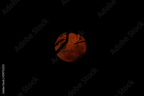 Red Moon