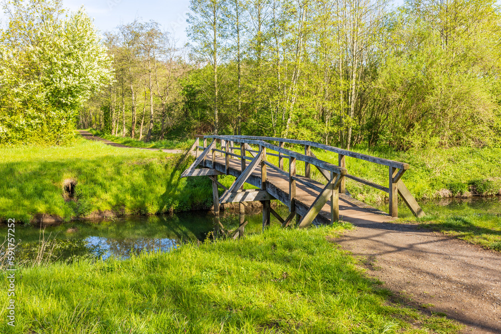 Brücke aus Holz für Spaziergänger führt über einen Bach