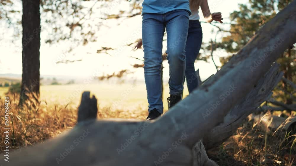 Group of children walks on a log in the park. People on the log.Children in the forest park walk in nature.Legs on a log summer walk.Teamwork of children in forest park.Girl child in nature at sunset.