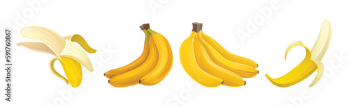 Yellow Sweet Banana Fruit with Peel Vector Set