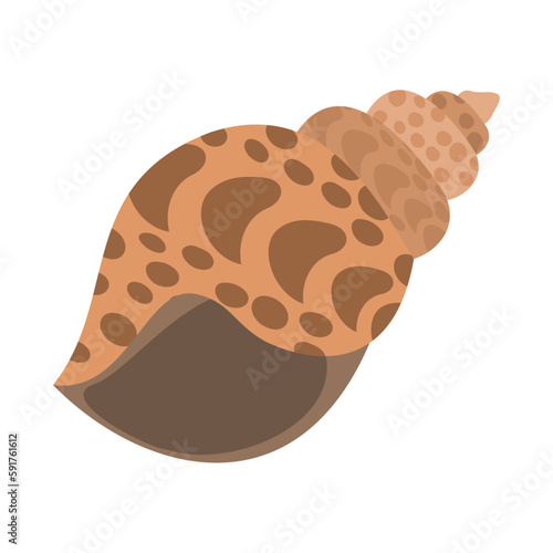 バイ貝（黒バイ）。フラットなベクターイラスト。
Japanese ivory shell. Flat designed vector illustration.