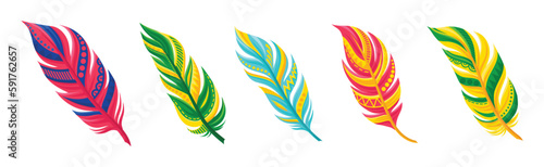Decorative Curved Feathers as Avian Plumage Vector Set