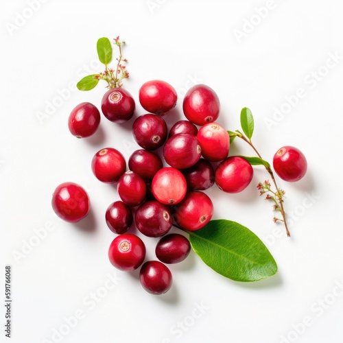 Top view of fresh raw organic ripe red cranberries and green leaves with white background Generative AI Illustration