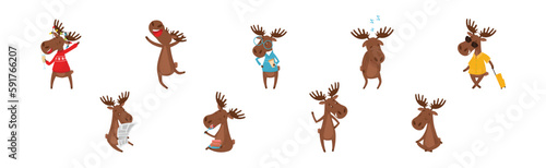 Funny Elk or Moose with Antlers and Hooves Vector Set