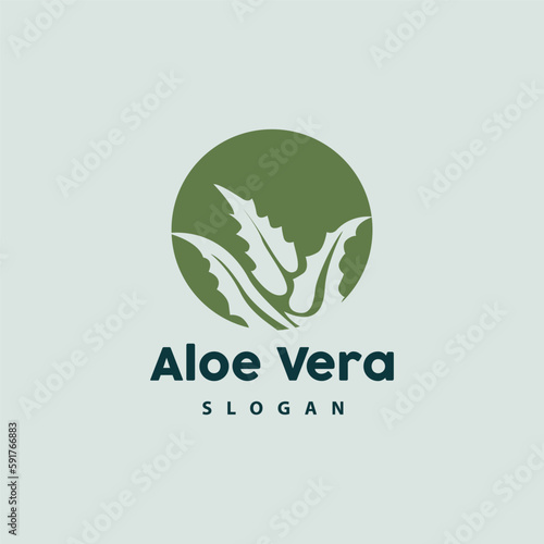 Aloe Vera Logo, Herbal Plant Vector, Illustration Symbol Icon Simple Design