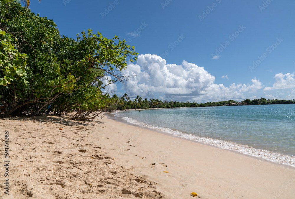 Summer beach in caribbean sea - Tropical background