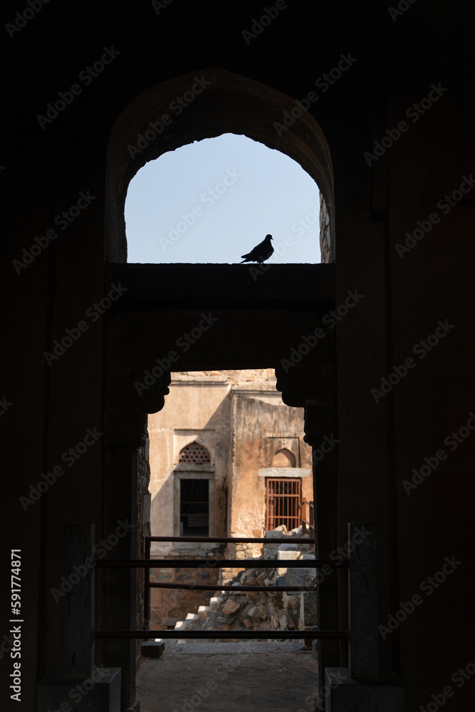 Fototapeta premium Hauz Khas fort monuments is a tourism place located in New Delhi, India