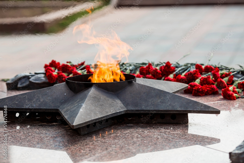 Eternal flame on the Walk of Fame with red carnations. Monument "Cranes