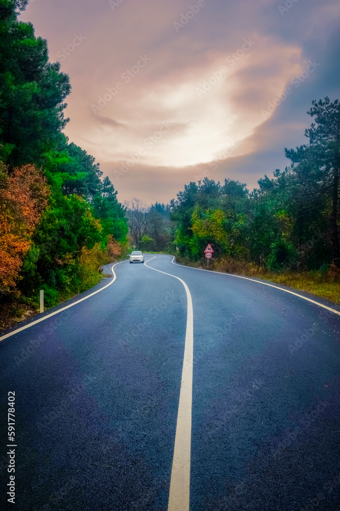 Obraz premium road in the mountains