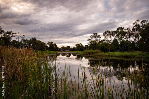 Wetland in the Australian outback