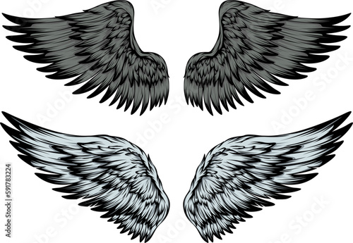 Bird wings illustration tattoo style. Hand drawn design element. 