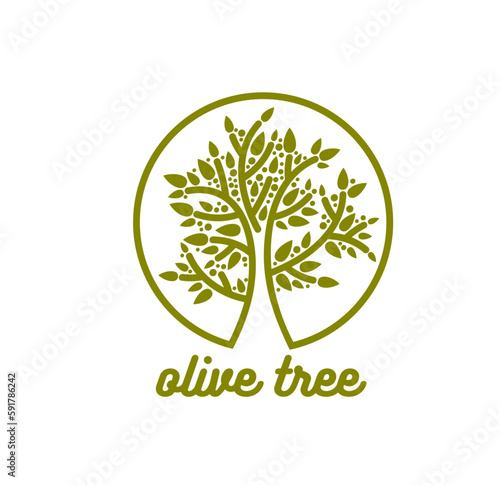 Olive tree symbol for natural bio and organic food, vector icon of olive oil. Vegetarian and vegan cuisine emblem of label for extra virgin olive oil and seasoning products or Mediterranean food