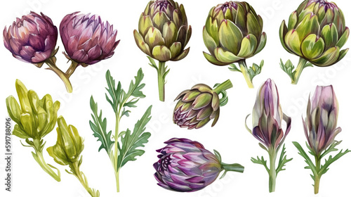 Set of illustrations of artichokes, garden plants, decorative design elements, watercolor illustrations isolated on white background usable for design stickers wallpapers Generative AI