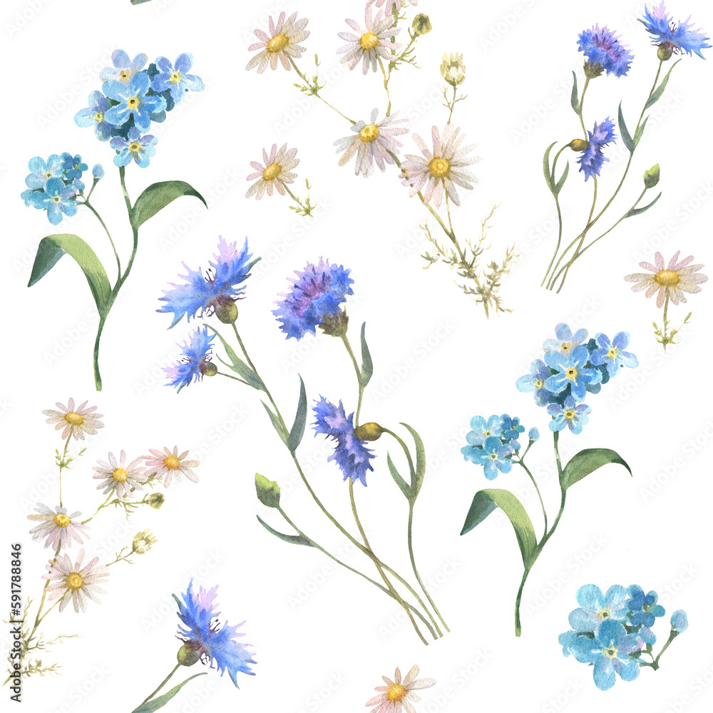 Fototapeta premium Watercolor seamless pattern with blue field flowers, Cornflower herb, chamomile, and forget me not, drawing by watercolor, hand drawn floral illustration, isolated on white background