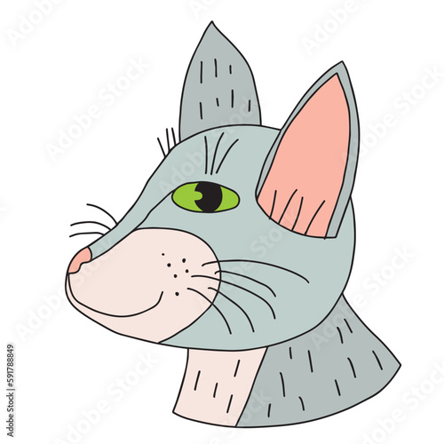 Cartoon doodle cat's muzzle isolated on white background.