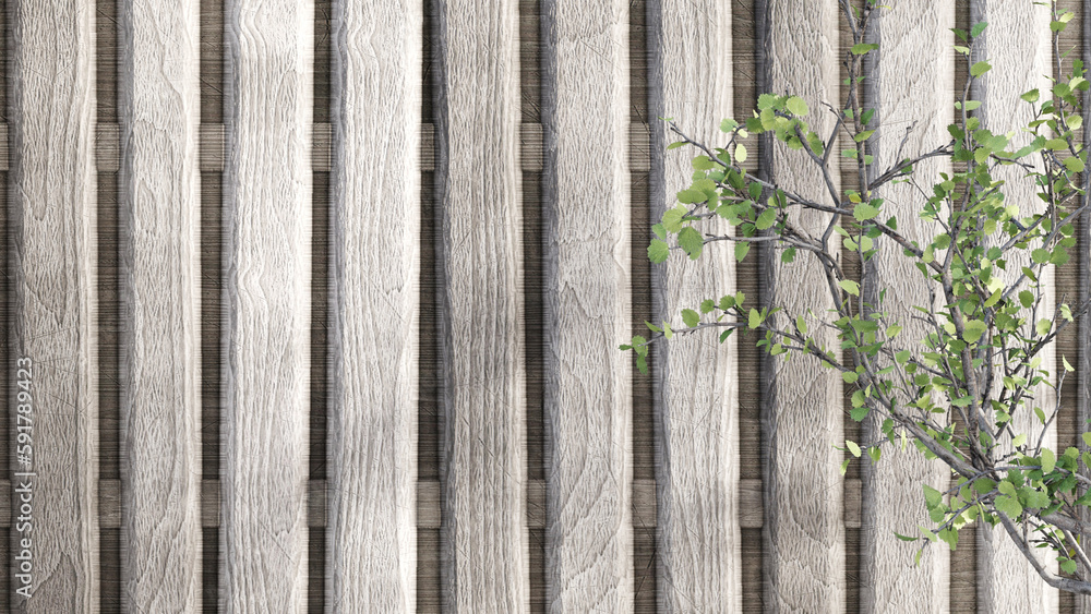 Tree branches with green leaves on the background of empty wooden fence. Mockup for nature garden design Tree branches with green leaves on the background of empty wooden fence. Mockup for nature garden design