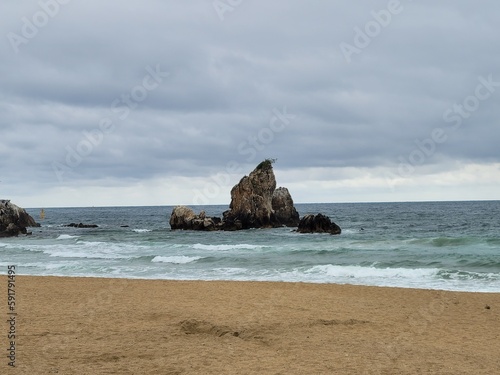 rocky coast of the sea