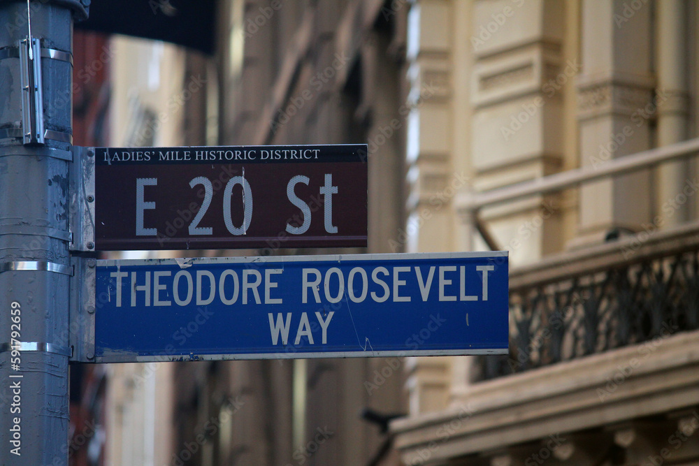 Obraz premium Brown East 20th Street and Theodore Roosevelt Way historic sign in Midtown Manhattan in New York City in Ladies Mile Historic District