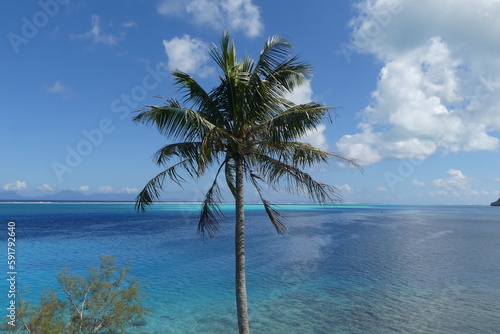 Fototapeta Naklejka Na Ścianę i Meble -  trip to french polynesia. discovery of Tahiti and these islands