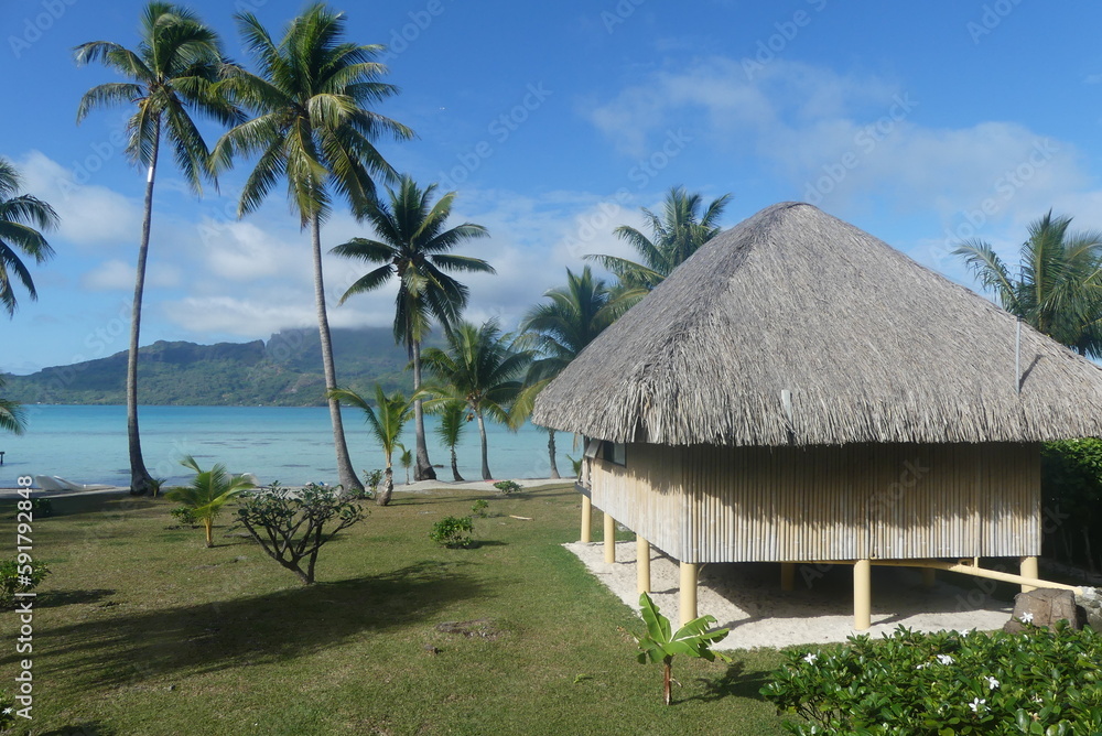 trip to french polynesia. discovery of Tahiti and these islands trip to french polynesia. discovery of Tahiti and these islands