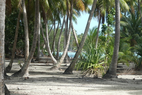 trip to french polynesia. discovery of Tahiti and these islands