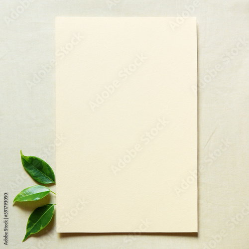 Happy mother's day, birthday, wedding composition. Blank greeting card, invitation and envelope mockup. Rectangular blank with  fresh green leaves. Flat lay, top view. Square.