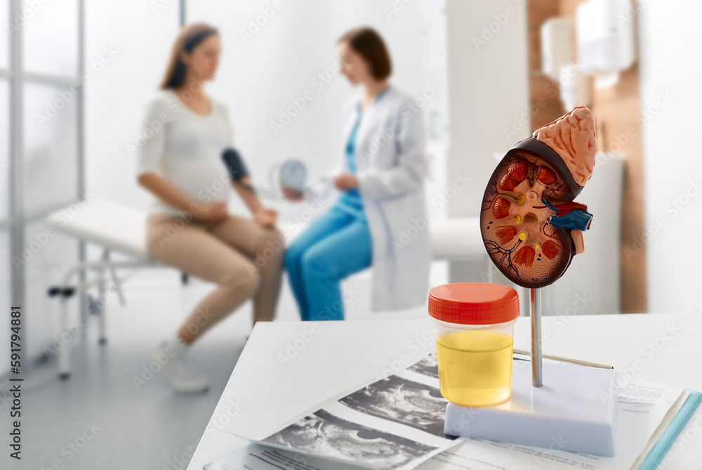 Treatment of pyelonephritis and kidney disease in pregnant women