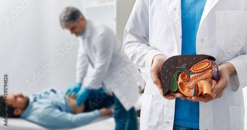 Human liver disease, diagnosis and treatment. Doctor gastroenterologist showing liver anatomical model for treatment hepatitis, cirrhosis and cancer while examining patient photo