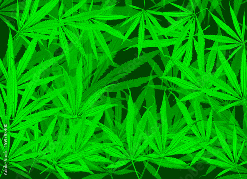 Marijuana leaf, Green color background. Decorate for ad, poster, template print, artwork