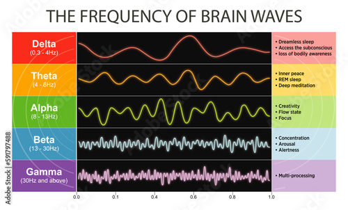 Different kinds of waveforms are produced by brain activity. Demonstration of human brain waves patterns