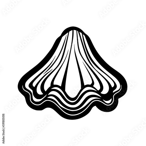 Shell vector illustration isolated on transparent background photo