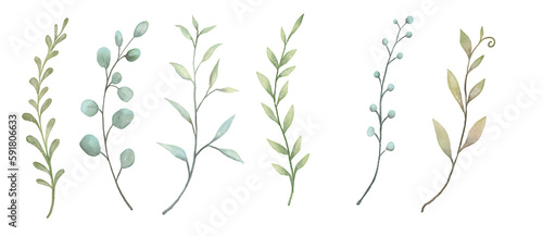 watercolor set of green leaves  hand drawn PNG on transparent background.