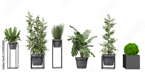 Beautiful plants in ceramic pots isolated on transparent background for digital composition, illustration, architecture visualization