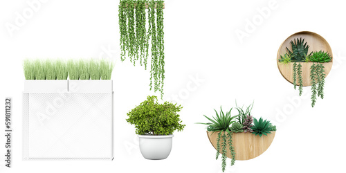 Set of beautiful creepers, plants in metalmesh pot,  hanging in wooden pots isolated on transparent background, 3D rendering, for illustration, digital composition and architecture visualization photo