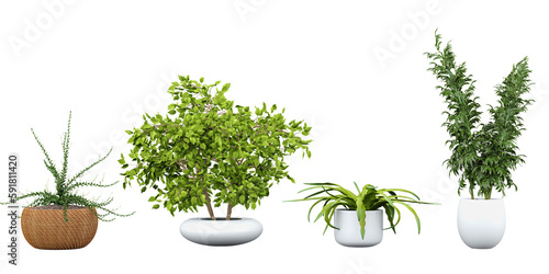 Set of Green and Clear plants, Beautiful Transparent Plant Images, 3D rendering, for illustration, digital composition and architecture visualization