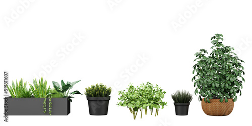 Set of Transparent Garden,  Beautiful Cut-Out Plant Photos, for digital composition, illustration, architecture visualization