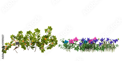 Set of Transparent Flower Plant Art, Stunning Cut-Out Flower Plant Images transparency backgrounds for illustration, digital composition and architecture visualization