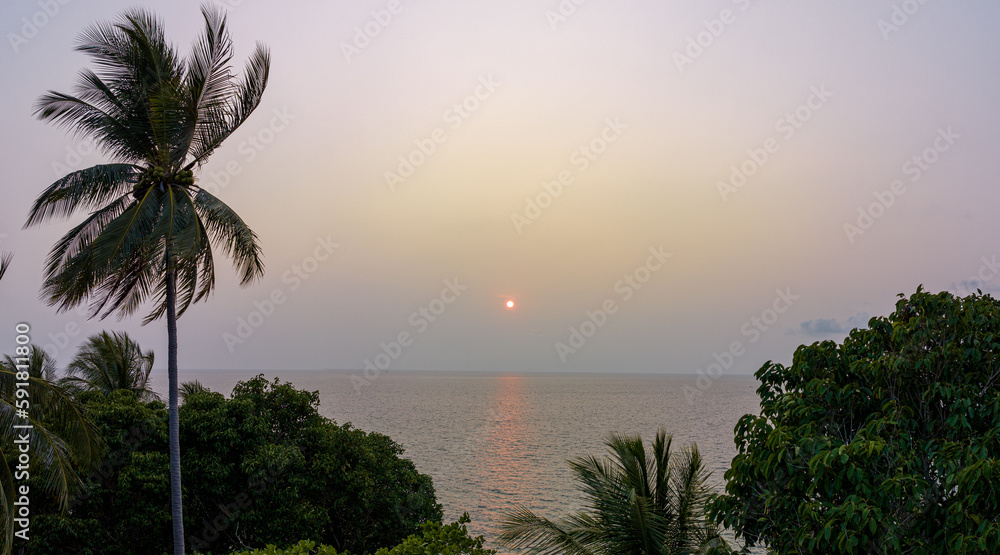 aerial view the sun going down to the horizon in sweet sunset above coconut trees..Nature High quality Scene of Colorful romantic sky sunset with cloud in the sky background .for creative nature 