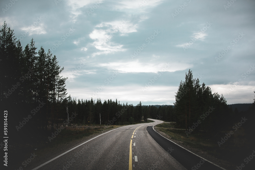 Winding asphalt road near a dense fir forest Winding asphalt road near a dense fir forest