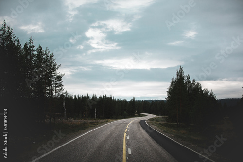 Winding asphalt road near a dense fir forest