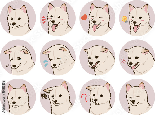 柴犬の表情アイコンセット（白柴）