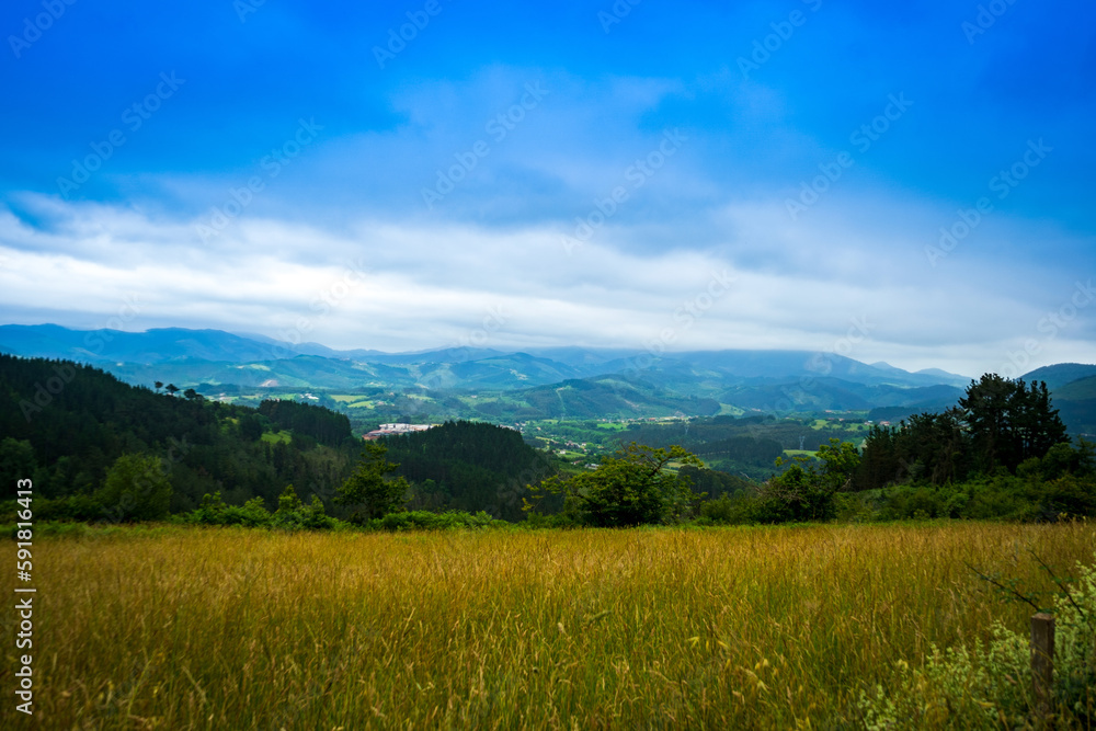 landscape in mountains. grassy field and rolling hills out of focus. rural scenery.