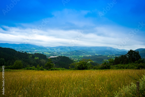 landscape in mountains. grassy field and rolling hills out of focus. rural scenery. © Pavel